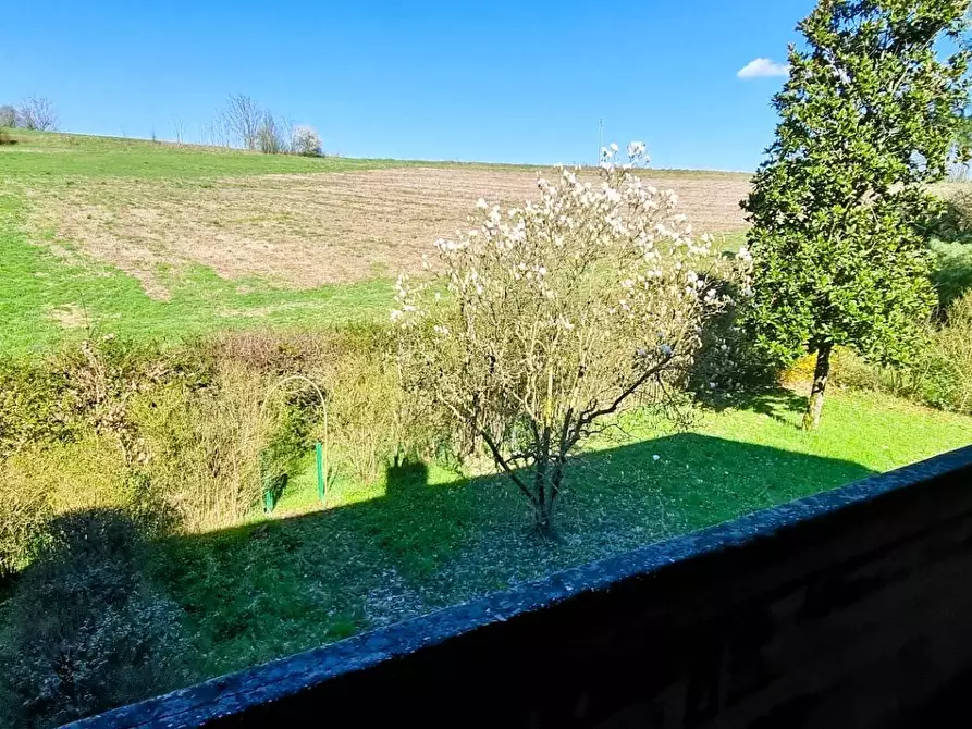 Immagine 7 di Appartamento in vendita  in valverde a Castelletto Monferrato