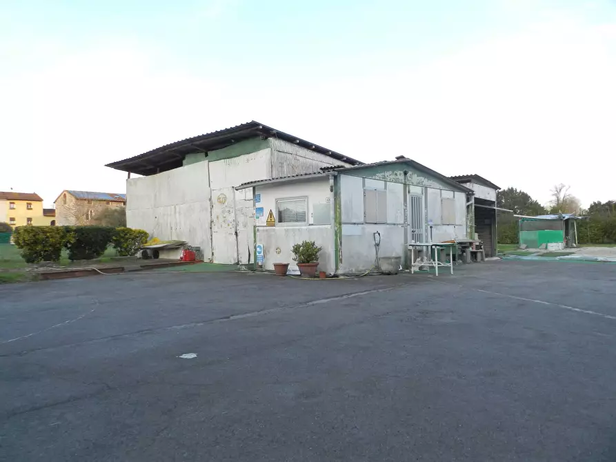 Immagine 5 di Magazzino in vendita  a Lucca