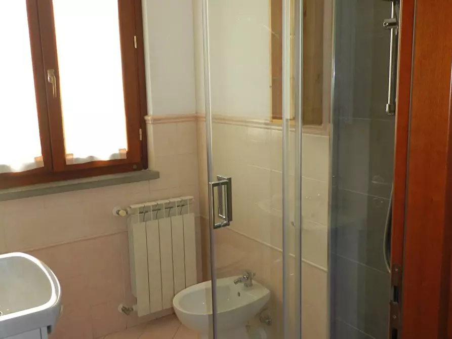 Immagine 18 di Appartamento in vendita  a Capannori