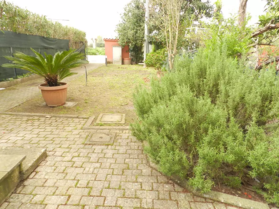 Immagine 29 di Appartamento in vendita  a Capannori