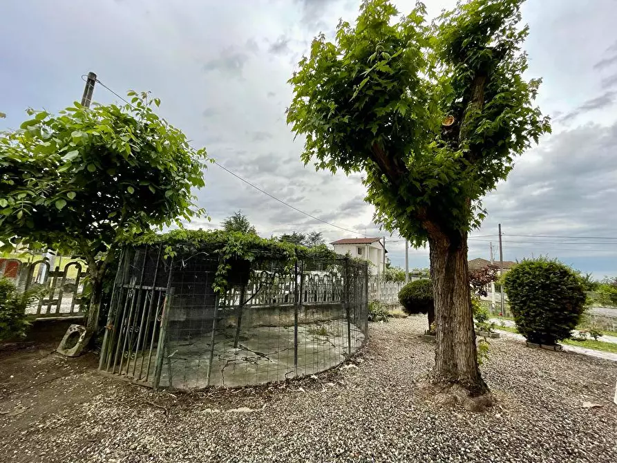 Immagine 10 di Villa in vendita  a Alessandria