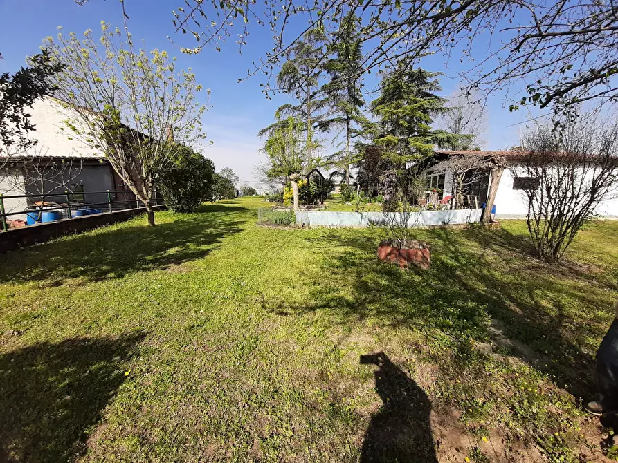 Immagine 7 di Casa indipendente in vendita  a Quattordio