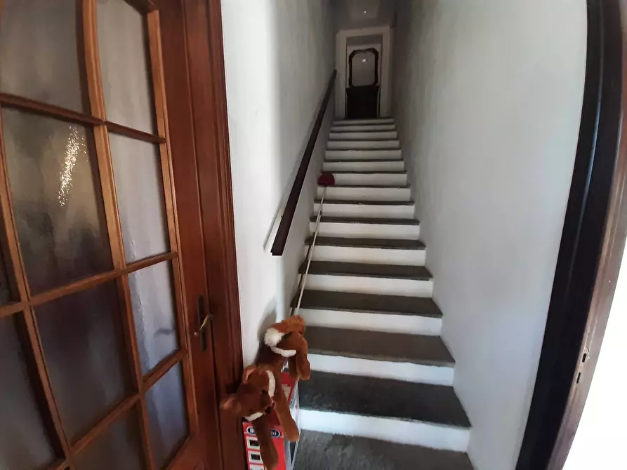 Immagine 19 di Casa indipendente in vendita  a Quattordio