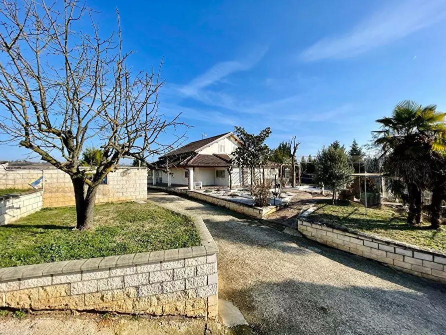 Immagine 6 di Villa in vendita  a San Salvatore Monferrato