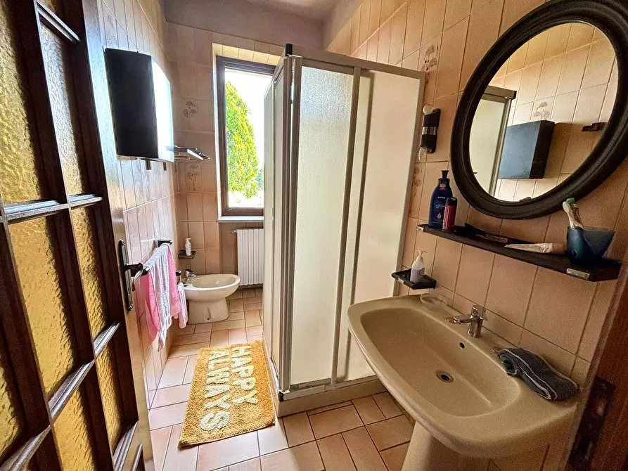 Immagine 18 di Villa in vendita  a Alessandria