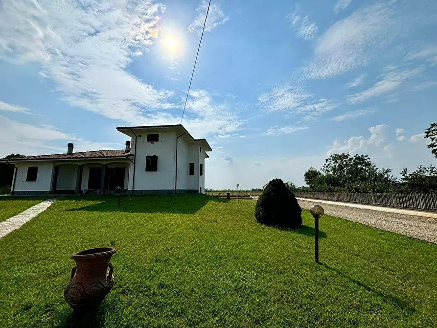 Immagine 5 di Villa in vendita  a Alessandria