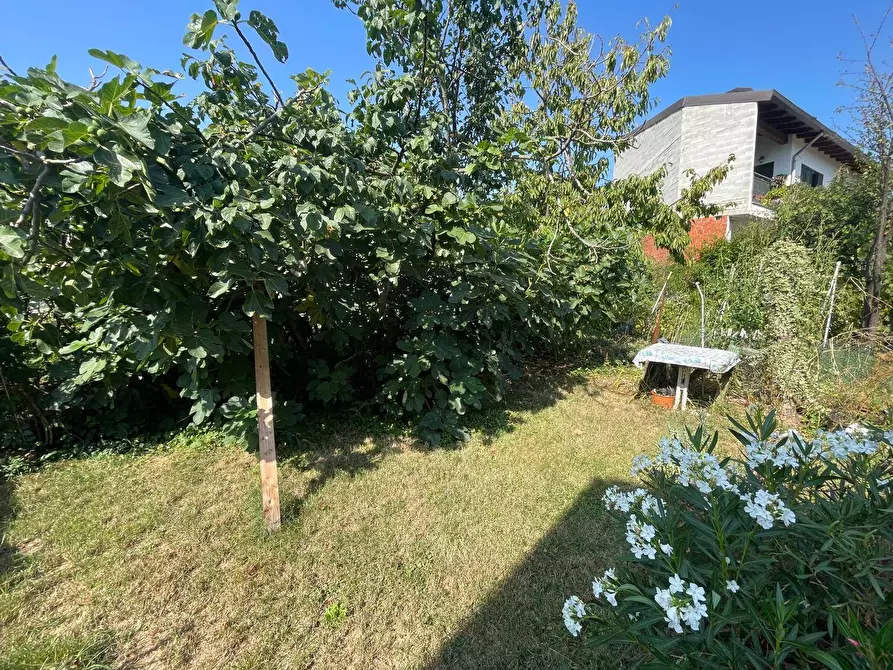 Immagine 26 di Casa indipendente in vendita  a Alessandria