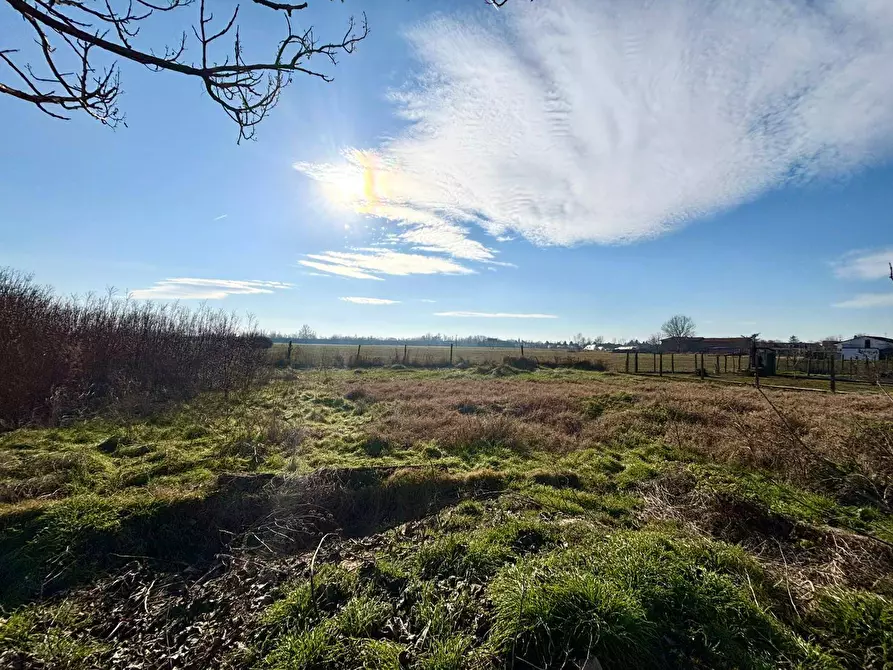 Immagine 22 di Casa indipendente in vendita  a Alessandria