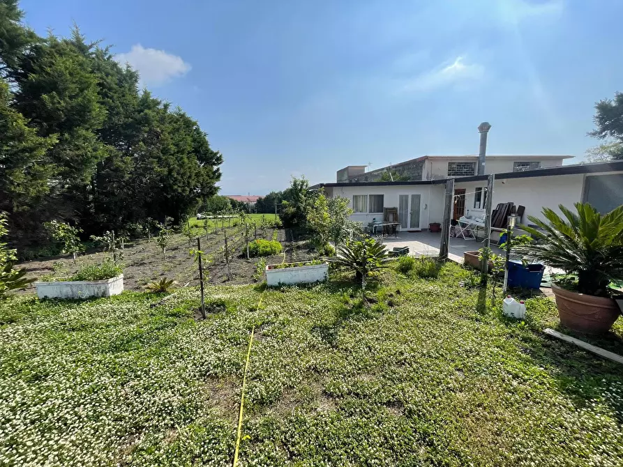 Immagine 18 di Casa indipendente in vendita  in Via Pentelete a Ottaviano