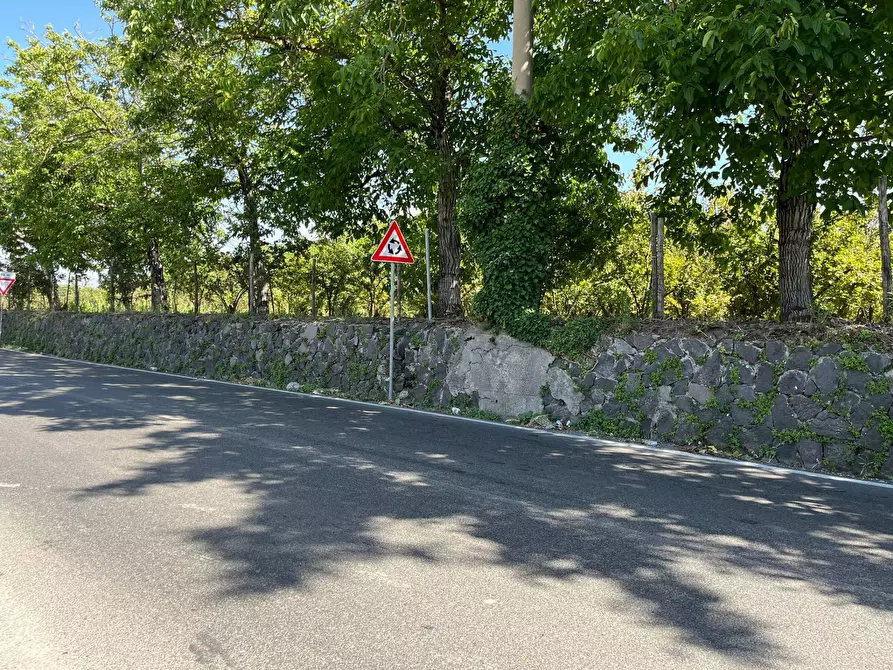 Immagine 3 di Terreno agricolo in vendita  a Poggiomarino