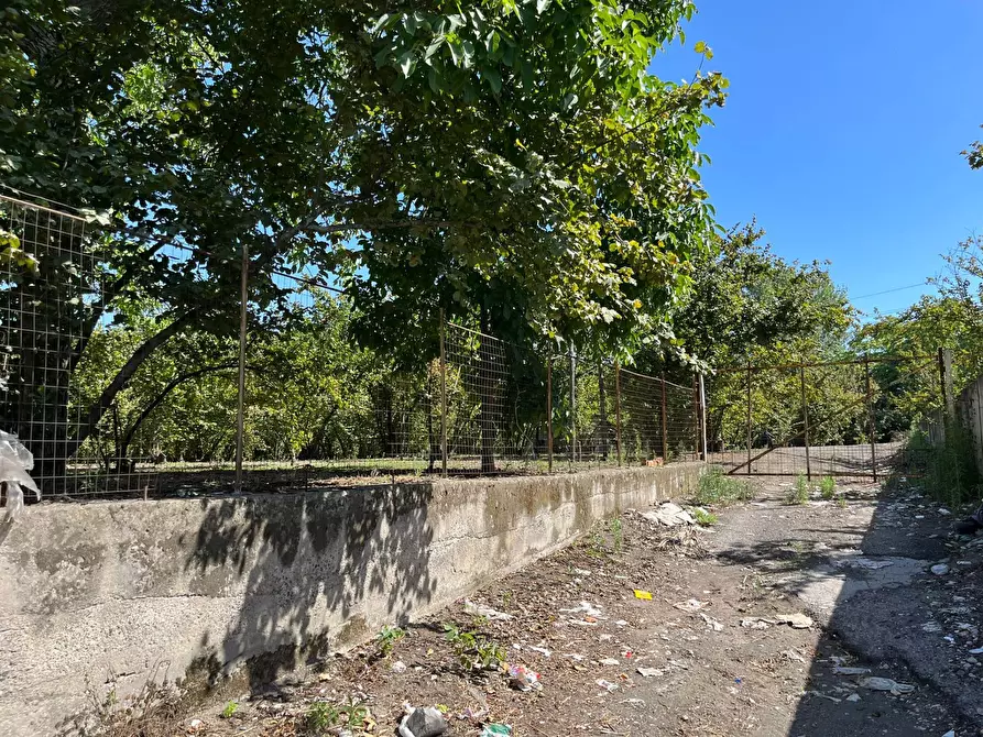 Immagine 5 di Terreno agricolo in vendita  a Poggiomarino