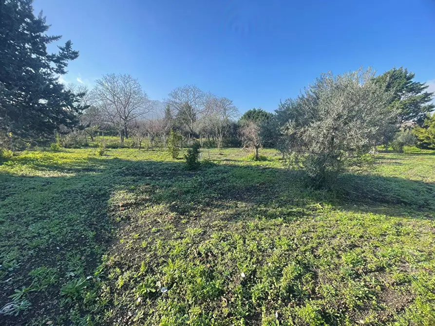 Immagine 2 di Casa indipendente in vendita  in via Seggiari a Somma Vesuviana