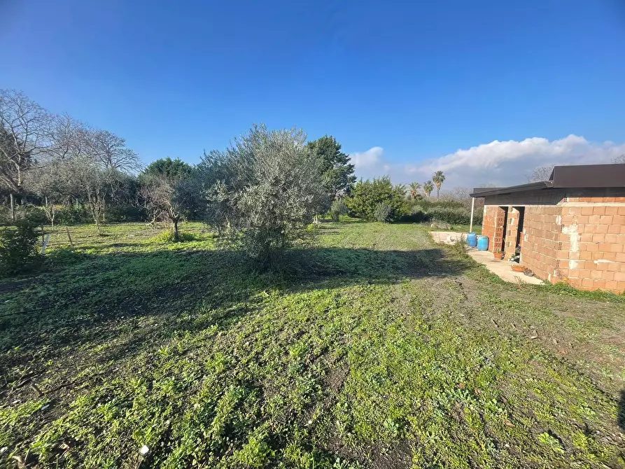 Immagine 3 di Casa indipendente in vendita  in via Seggiari a Somma Vesuviana