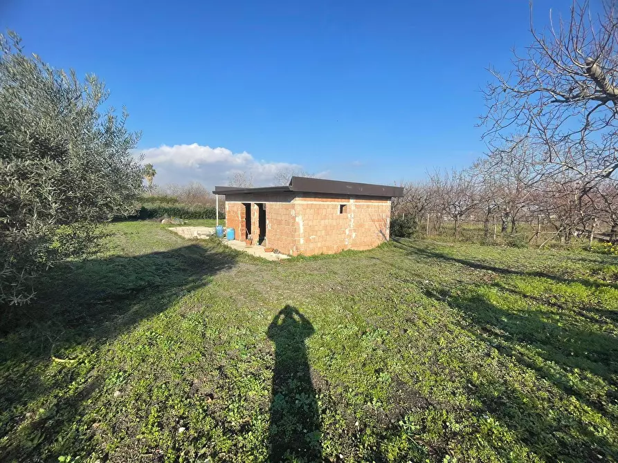 Immagine 5 di Casa indipendente in vendita  in via Seggiari a Somma Vesuviana