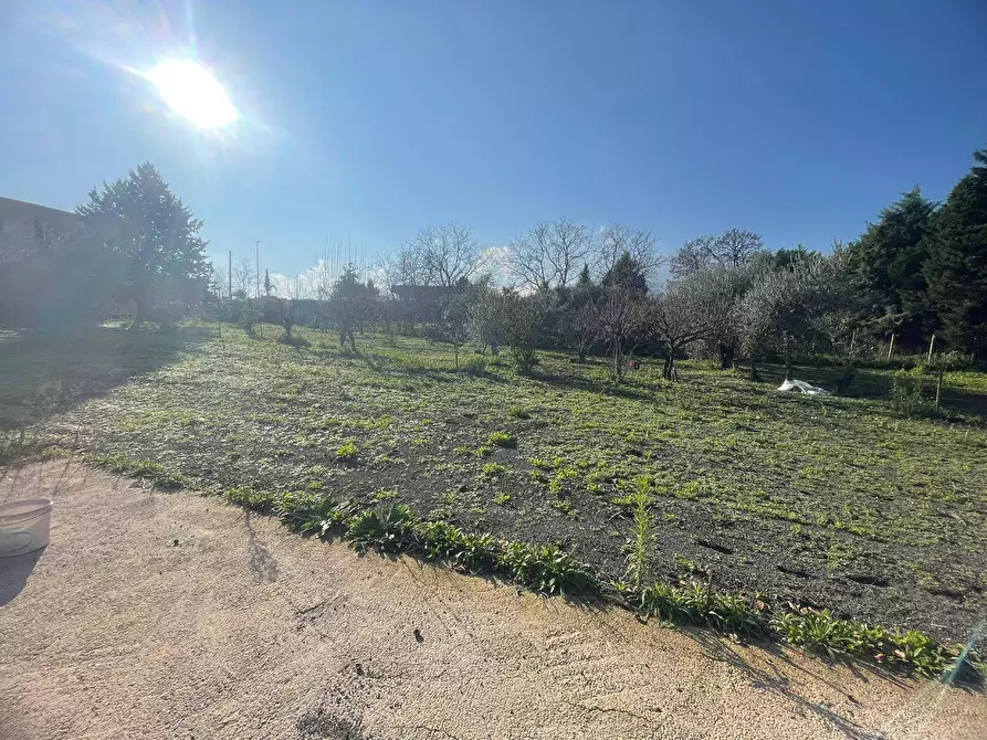 Immagine 12 di Casa indipendente in vendita  in via Seggiari a Somma Vesuviana