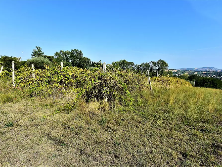 Immagine 4 di Rustico / casale in vendita  a Fermo
