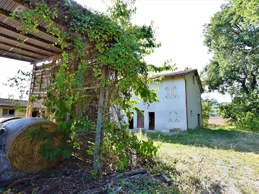 Immagine 1 di Rustico / casale in vendita  a Fermo