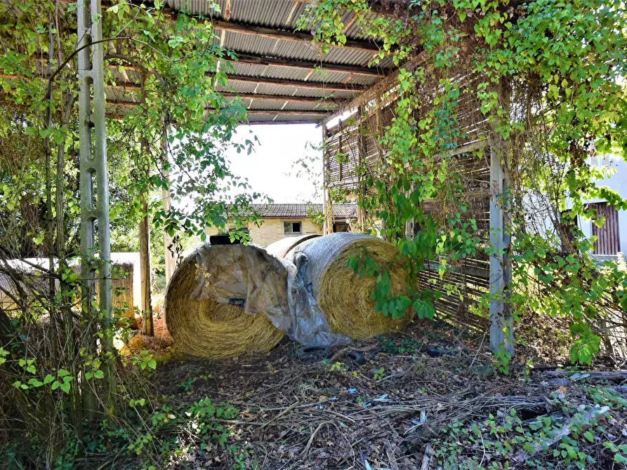 Immagine 3 di Rustico / casale in vendita  a Fermo