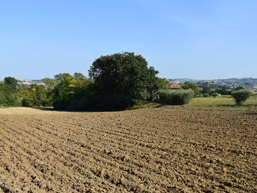 Immagine 5 di Rustico / casale in vendita  a Fermo