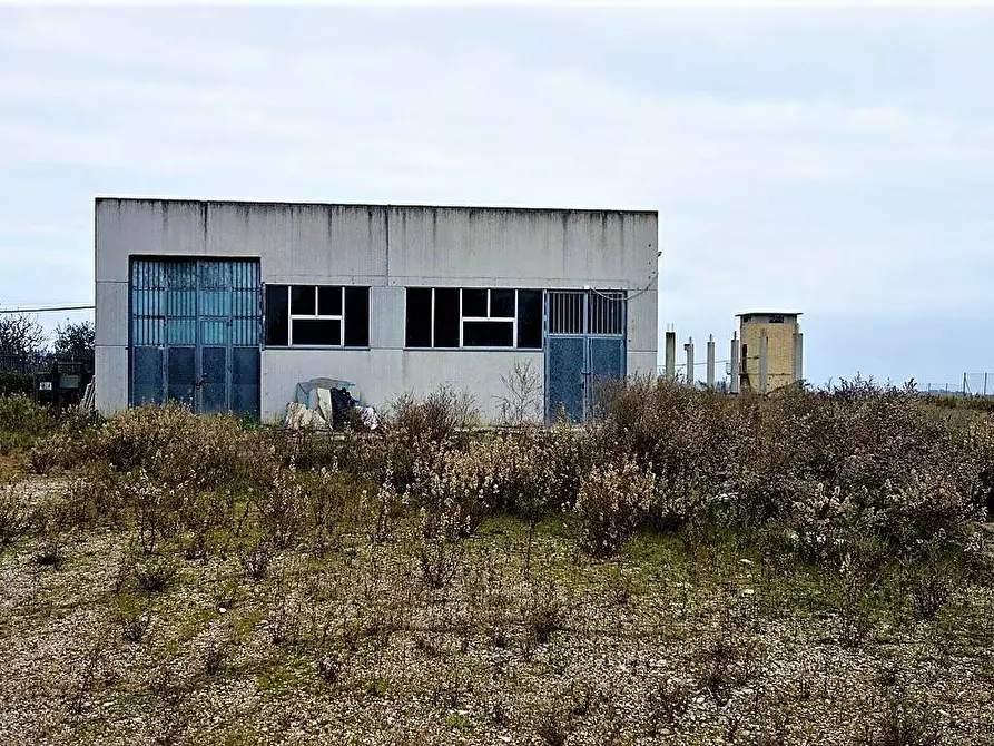 Immagine 1 di Capannone industriale in vendita  a Lapedona