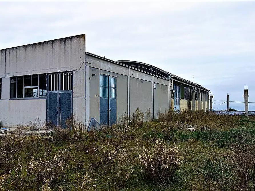 Immagine 1 di Capannone industriale in vendita  a Lapedona