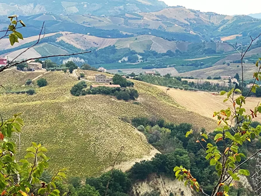 Immagine 4 di Terreno agricolo in vendita  a Carassai