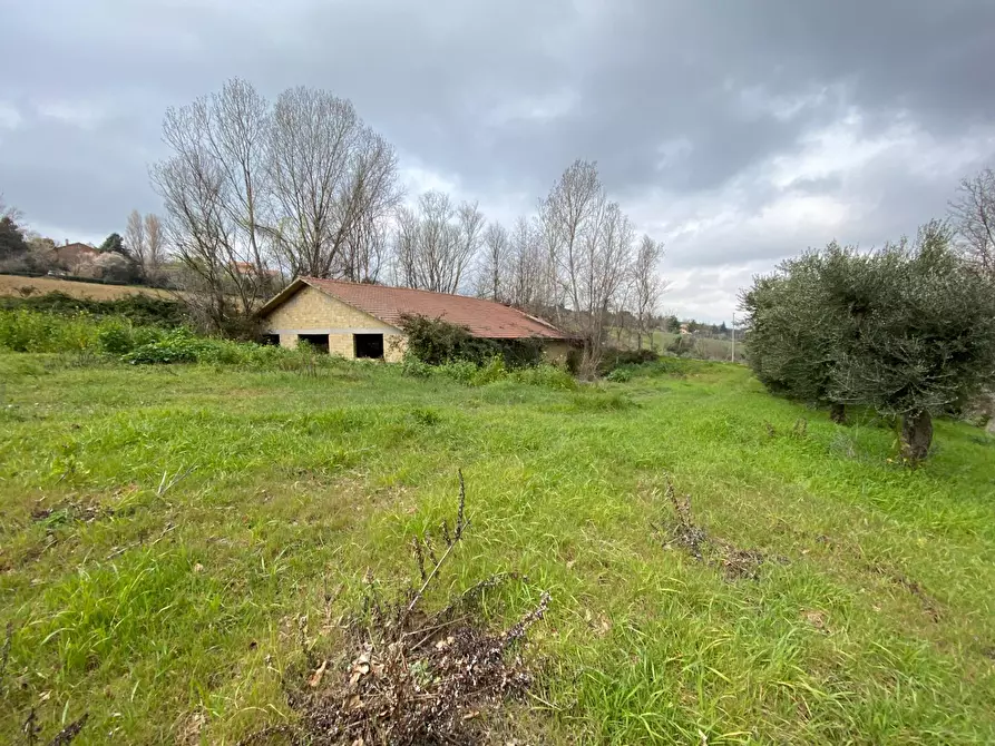 Immagine 1 di Rustico / casale in vendita  a Monterubbiano