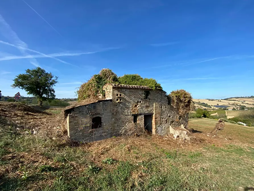 Immagine 1 di Rustico / casale in vendita  a Monte Rinaldo