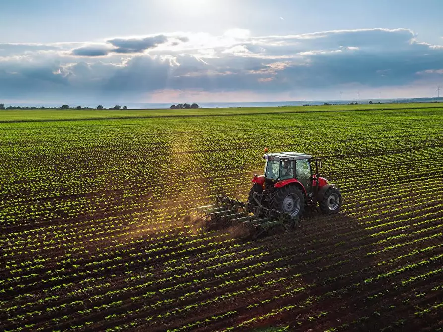 terreno agricolo in vendita a Montegranaro