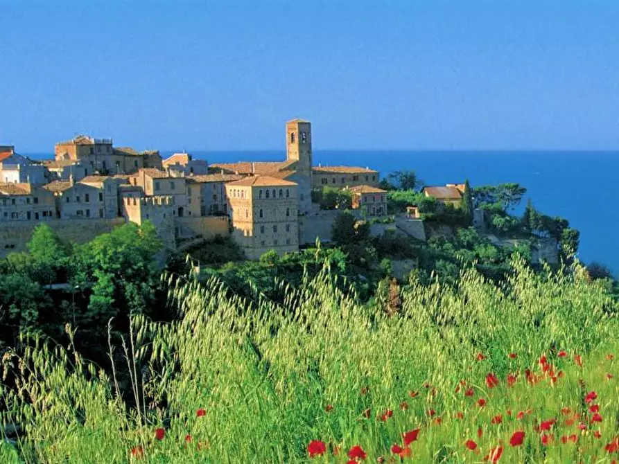 Immagine 2 di Terreno agricolo in vendita  a Fermo