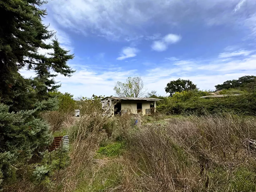 Immagine 8 di Casa indipendente in vendita  a Fermo