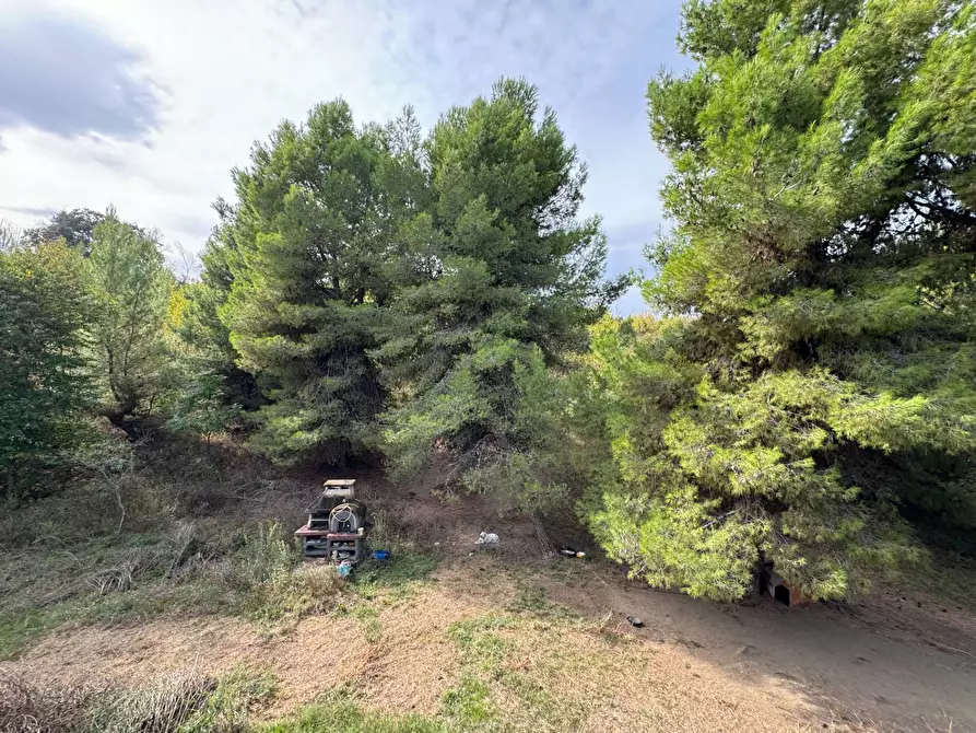 Immagine 9 di Casa indipendente in vendita  a Fermo