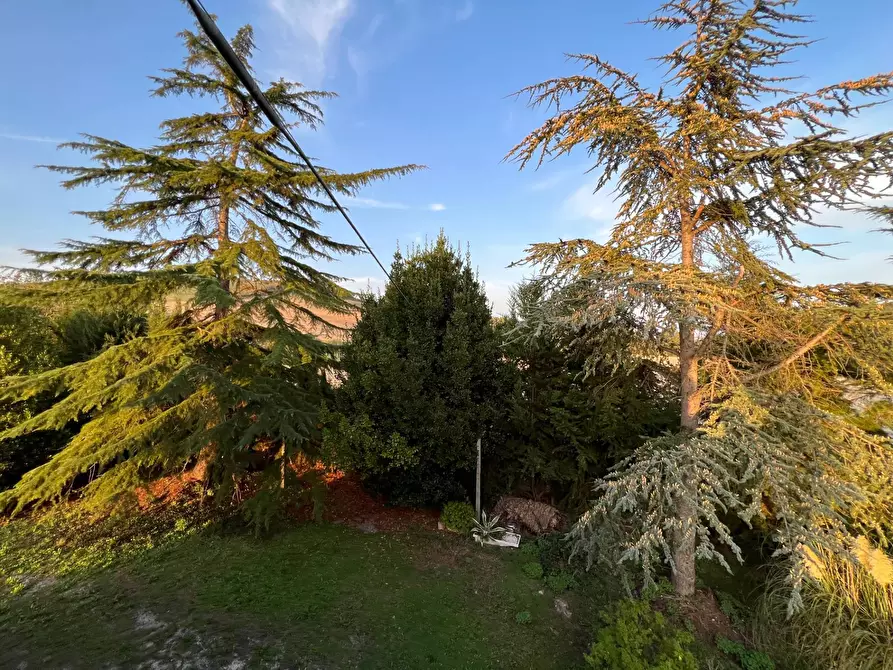 Immagine 25 di Rustico / casale in vendita  a Fermo
