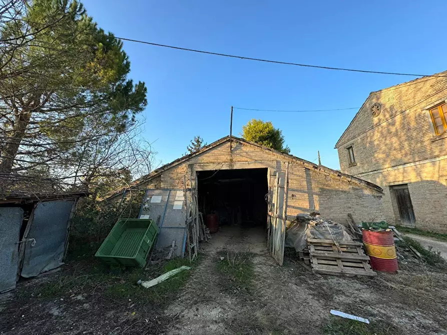 Immagine 3 di Rustico / casale in vendita  a Monterubbiano