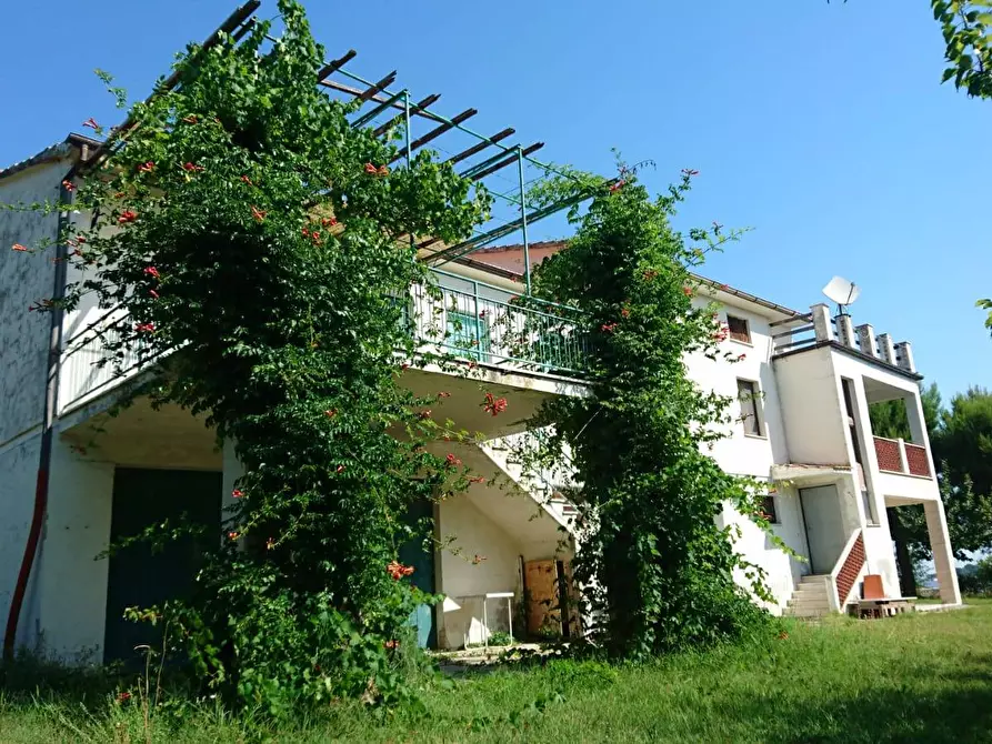 Immagine 22 di Casa indipendente in vendita  a Lapedona