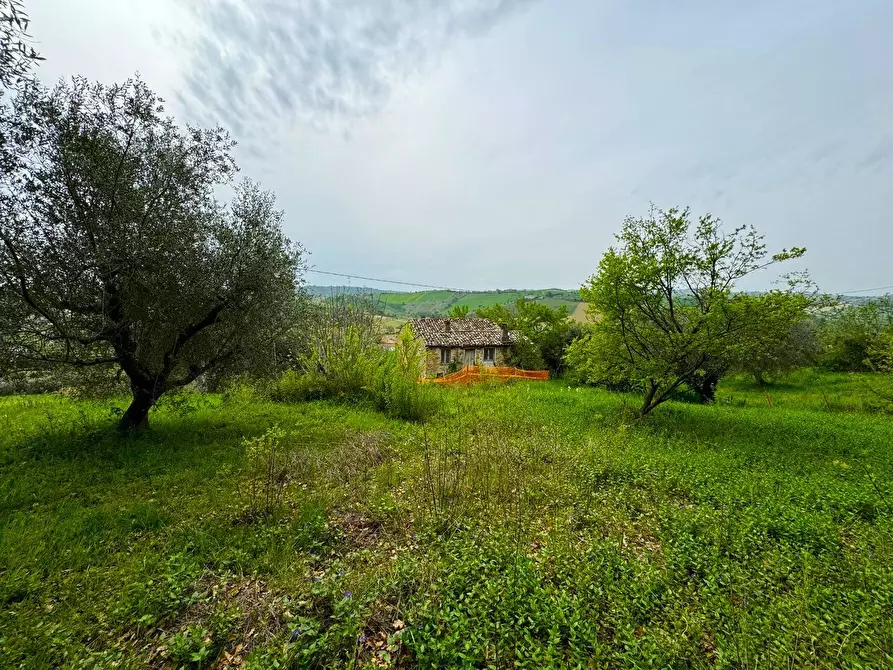 Immagine 6 di Rustico / casale in vendita  a Fermo