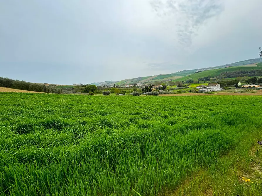 Immagine 10 di Rustico / casale in vendita  a Fermo