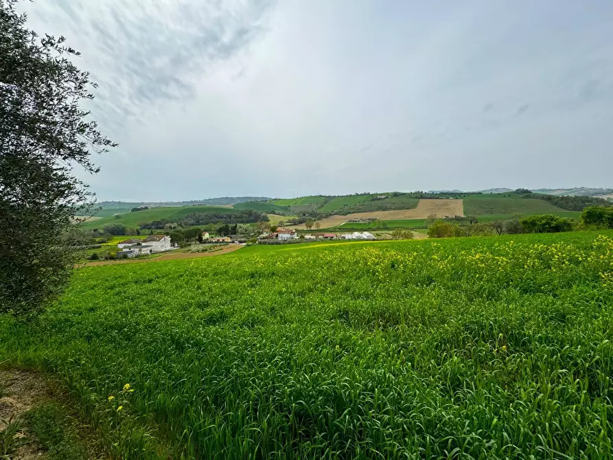 Immagine 11 di Rustico / casale in vendita  a Fermo