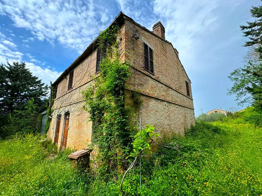 Immagine 2 di Rustico / casale in vendita  a Fermo
