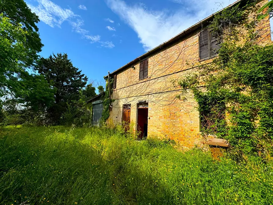 Immagine 1 di Rustico / casale in vendita  a Fermo