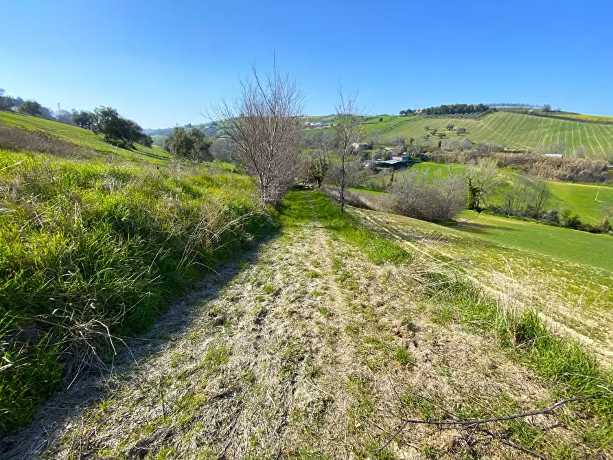 Immagine 1 di Terreno agricolo in vendita  a Porto San Giorgio