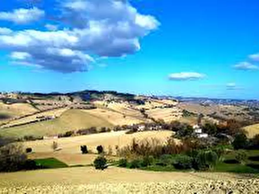 Immagine 6 di Rustico / casale in vendita  a Montegranaro