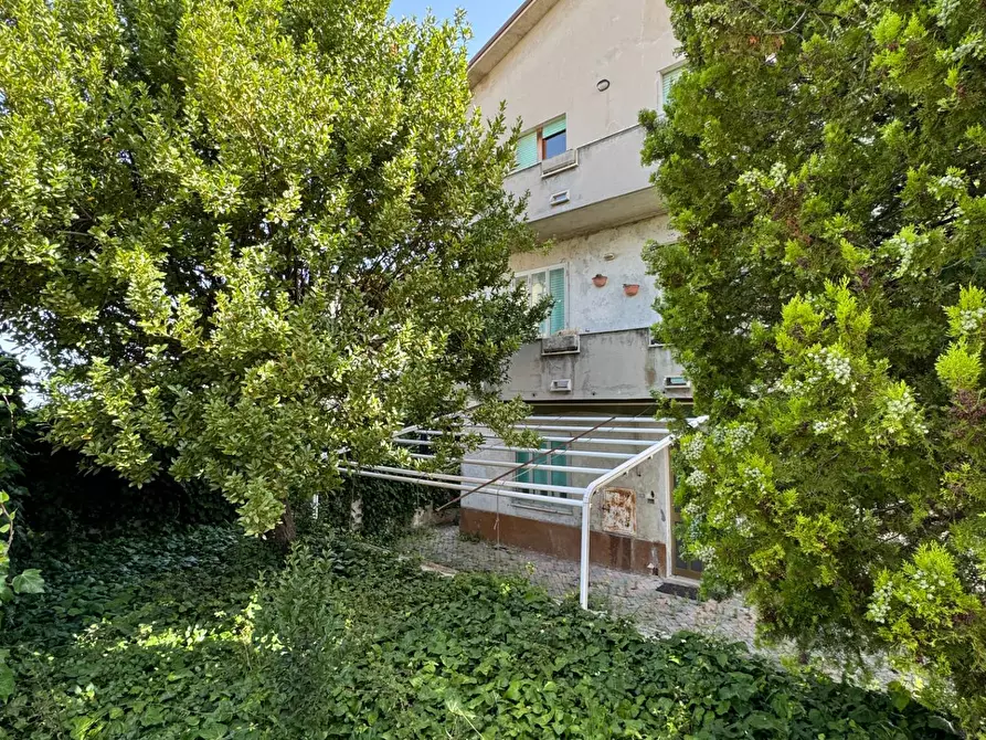 Immagine 5 di Casa indipendente in vendita  a Fermo