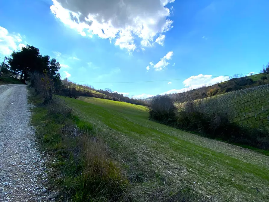 Immagine 3 di Casa indipendente in vendita  a Montefiore Dell'aso