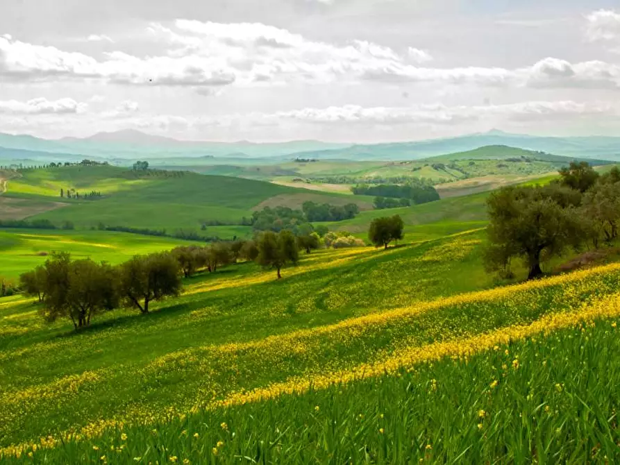 Immagine 1 di Terreno agricolo in vendita  a Fermo