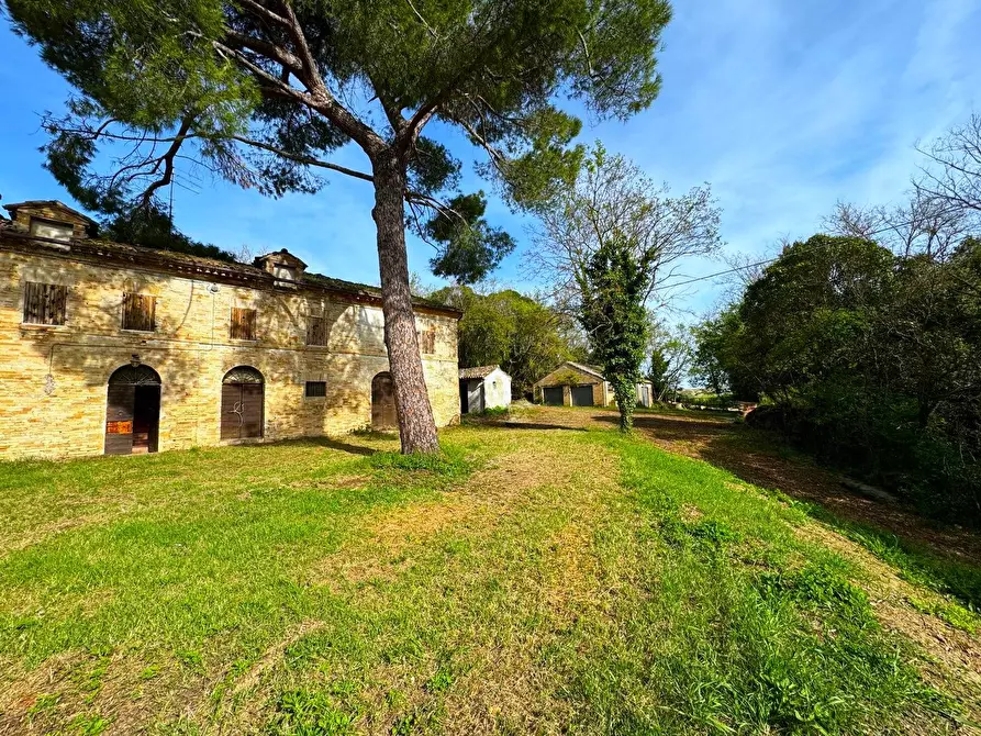 Immagine 1 di Rustico / casale in vendita  a Sant'elpidio A Mare