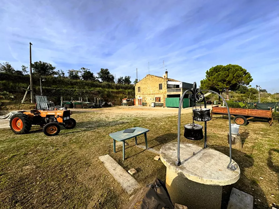 Immagine 1 di Rustico / casale in vendita  a Lapedona