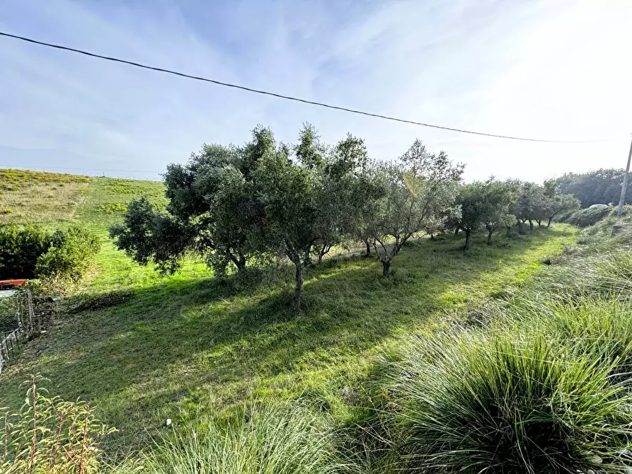 Immagine 6 di Rustico / casale in vendita  a Lapedona