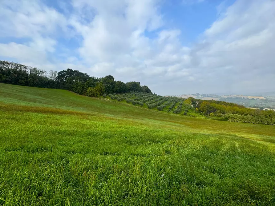 Immagine 19 di Rustico / casale in vendita  a Montottone