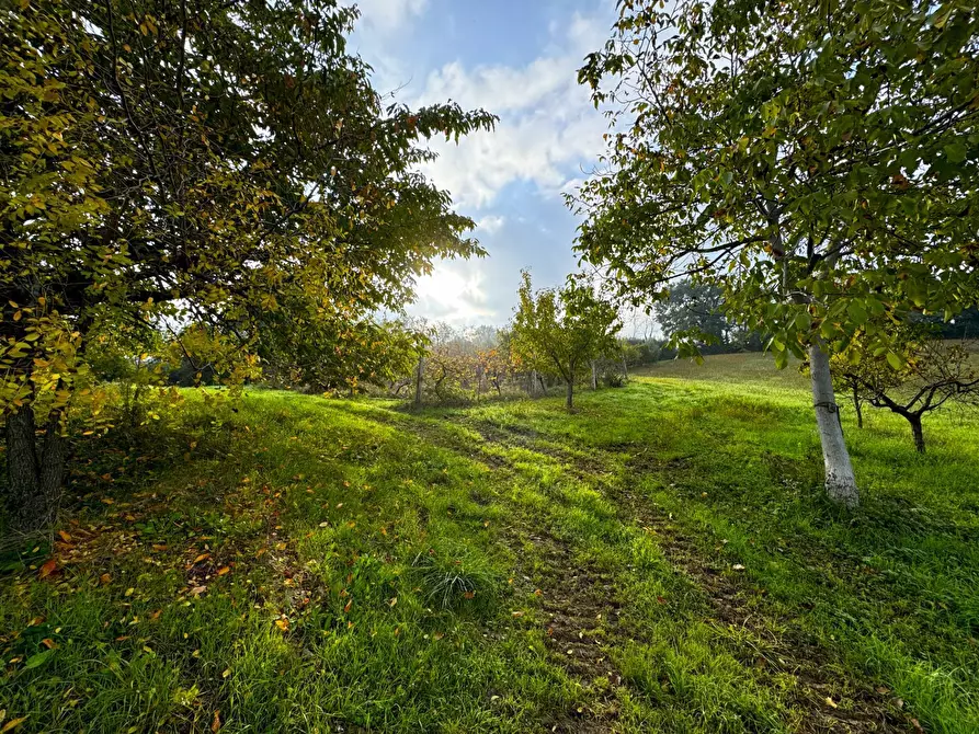 Immagine 20 di Rustico / casale in vendita  a Montottone